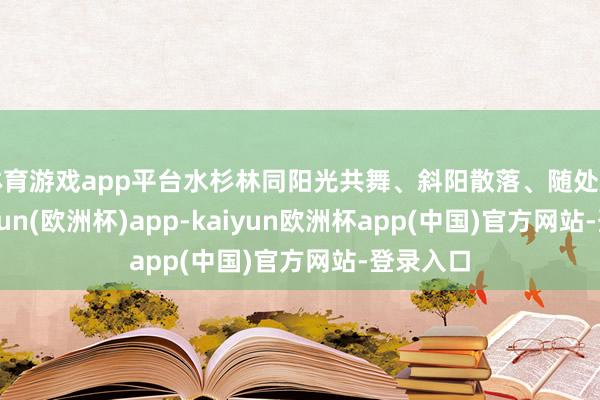 体育游戏app平台水杉林同阳光共舞、斜阳散落、随处灿烂-kaiyun(欧洲杯)app-kaiyun欧洲杯app(中国)官方网站-登录入口