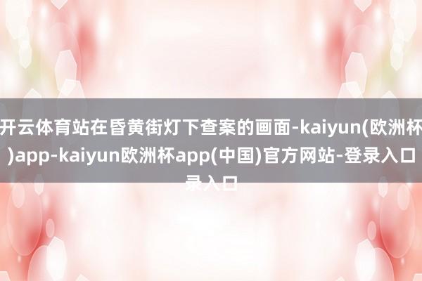 开云体育站在昏黄街灯下查案的画面-kaiyun(欧洲杯)app-kaiyun欧洲杯app(中国)官方网站-登录入口