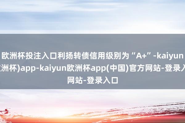 欧洲杯投注入口利扬转债信用级别为“A+”-kaiyun(欧洲杯)app-kaiyun欧洲杯app(中国)官方网站-登录入口