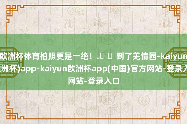 欧洲杯体育拍照更是一绝！.⛄️到了羌情园-kaiyun(欧洲杯)app-kaiyun欧洲杯app(中国)官方网站-登录入口