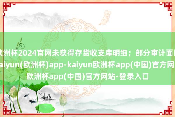 欧洲杯2024官网未获得存货收支库明细；部分审计面目捏不到位-kaiyun(欧洲杯)app-kaiyun欧洲杯app(中国)官方网站-登录入口