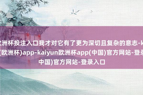 欧洲杯投注入口我才对它有了更为深切且复杂的意志-kaiyun(欧洲杯)app-kaiyun欧洲杯app(中国)官方网站-登录入口